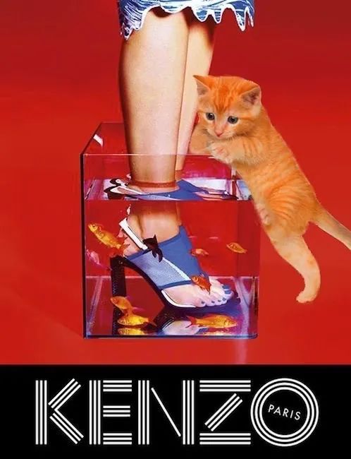 膨友你好|2020都快过完了，我还是在怀旧？