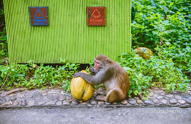 海南环岛旅行需要多少天,去海南过冬天去哪里最好