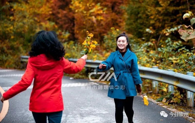 初秋彩林成都周边秘境,成都附近彩林秘境