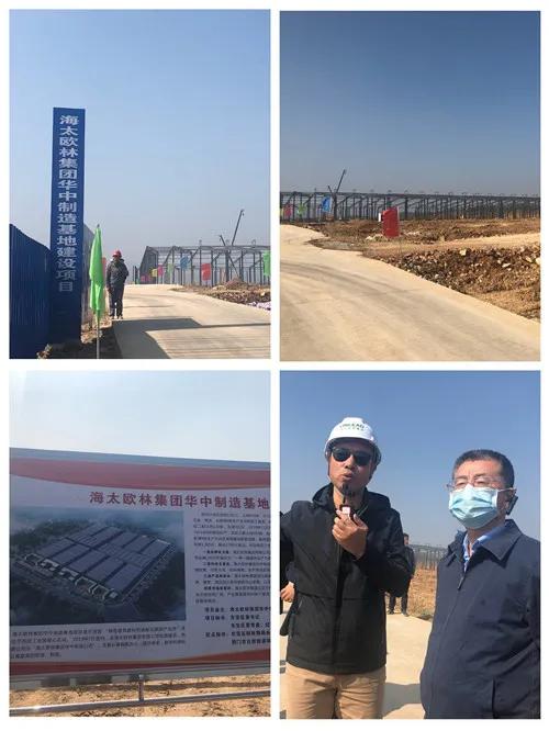 促进绿色发展政府要怎么做,推动绿色发展相关举措有