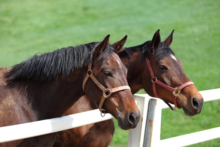 趣味科普小知识动物篇,有趣的动物科普小知识视频