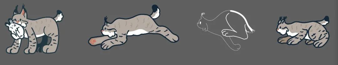 猞猁和雪兔,雪兔和猞猁