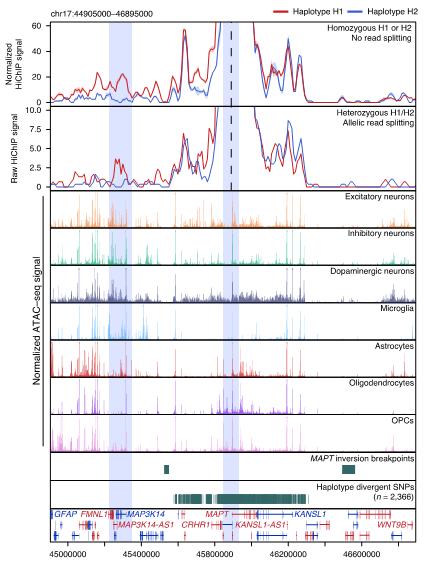 「长文解读」NatGenet︱阿尔茨海默症和帕金森病的单核苷酸多态性研究,揭示两种疾病的遗传风险位点的变异
