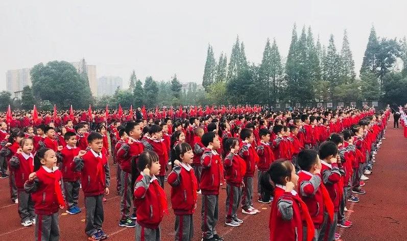 少先队三优秀是哪三优,四川省2020优秀少先队员评选表格