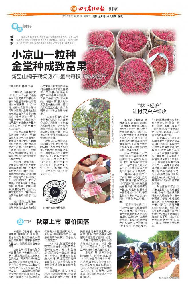 “林下经济”让村民户户增收