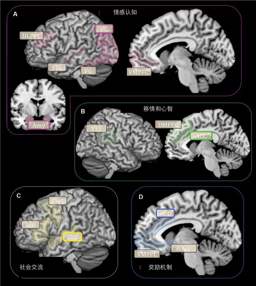 一孕傻三年确实不假,一孕傻三年这个说法存在吗