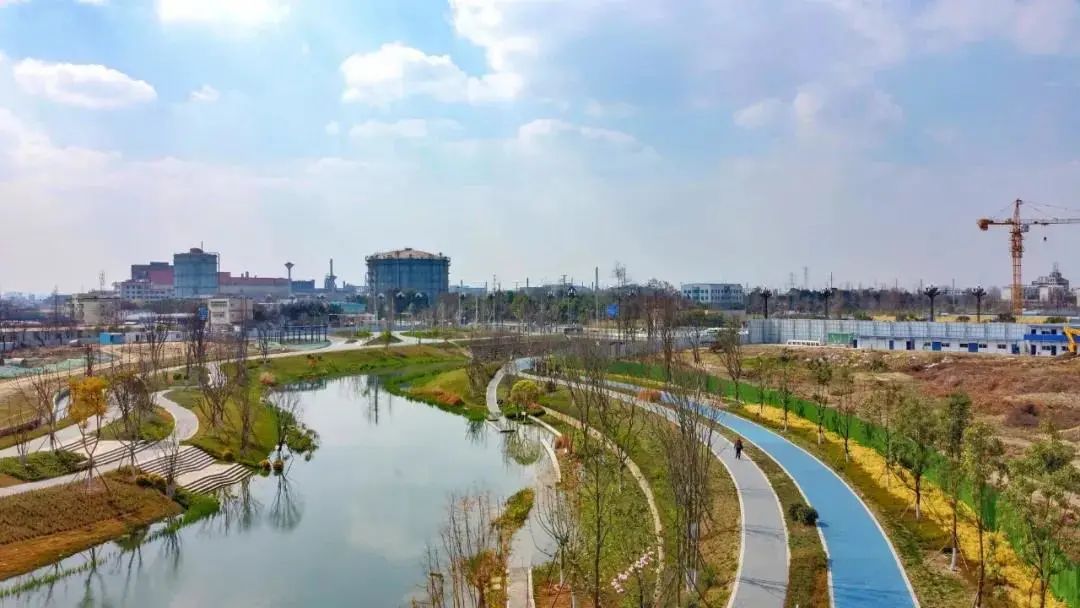 马拉多纳有什么人悼念的,听到马拉多纳的时候你会想起什么