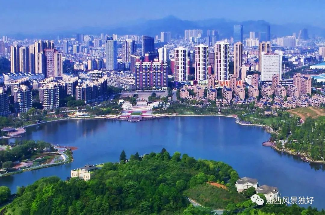 传统工艺酱板鸭,萍乡步行街酱鸭