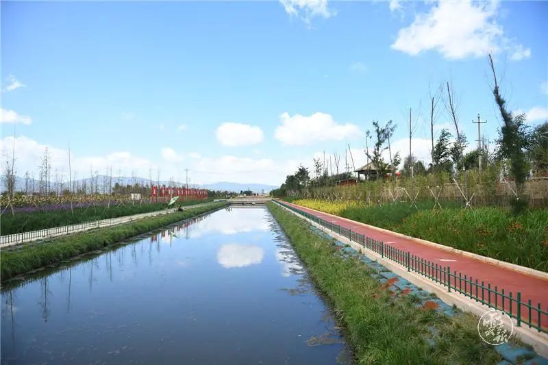 水更清！看云南“明珠”常亮常清