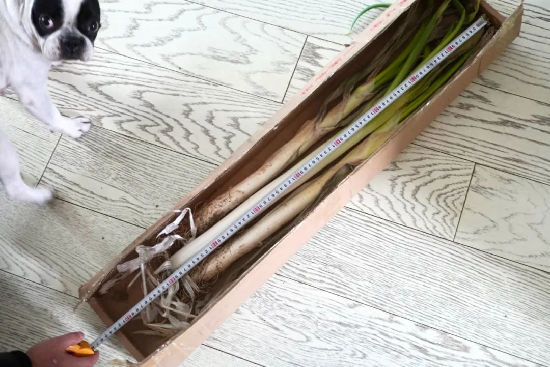 这世界上真有在拼夕夕购物而不翻车的人吗？