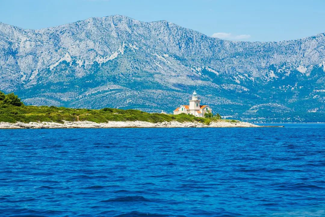 林子大了什么鸟都有下一句是什么,林子大了啥鸟都有讽刺图片