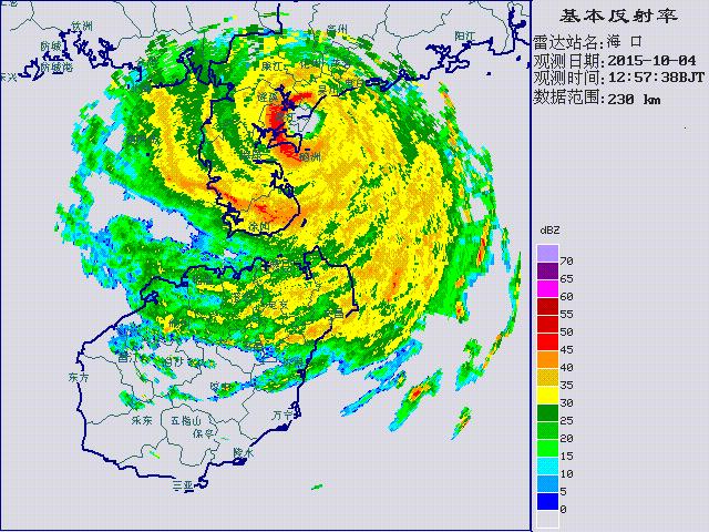 林子大了什么鸟都有下一句是什么,林子大了啥鸟都有讽刺图片
