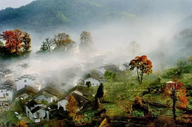冬天的婺源你见过吗,婺源的秋天到底有多美