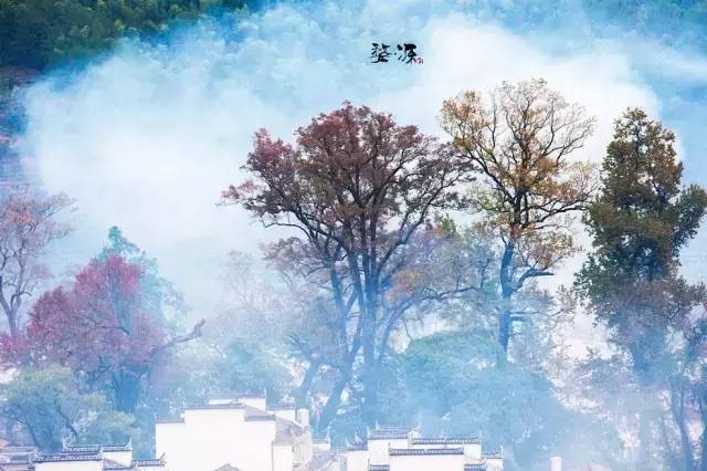 冬天的婺源你见过吗,婺源的秋天到底有多美