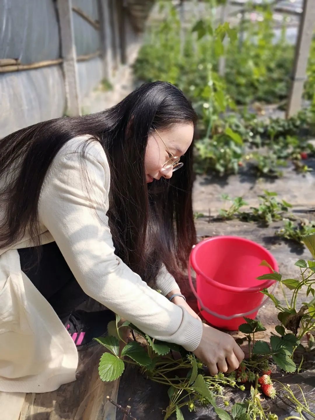 向优秀看齐向榜样靠拢,向优秀的前辈们看齐