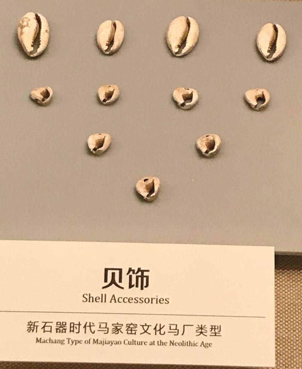 贝饰品寓意,贝饰品图片大全