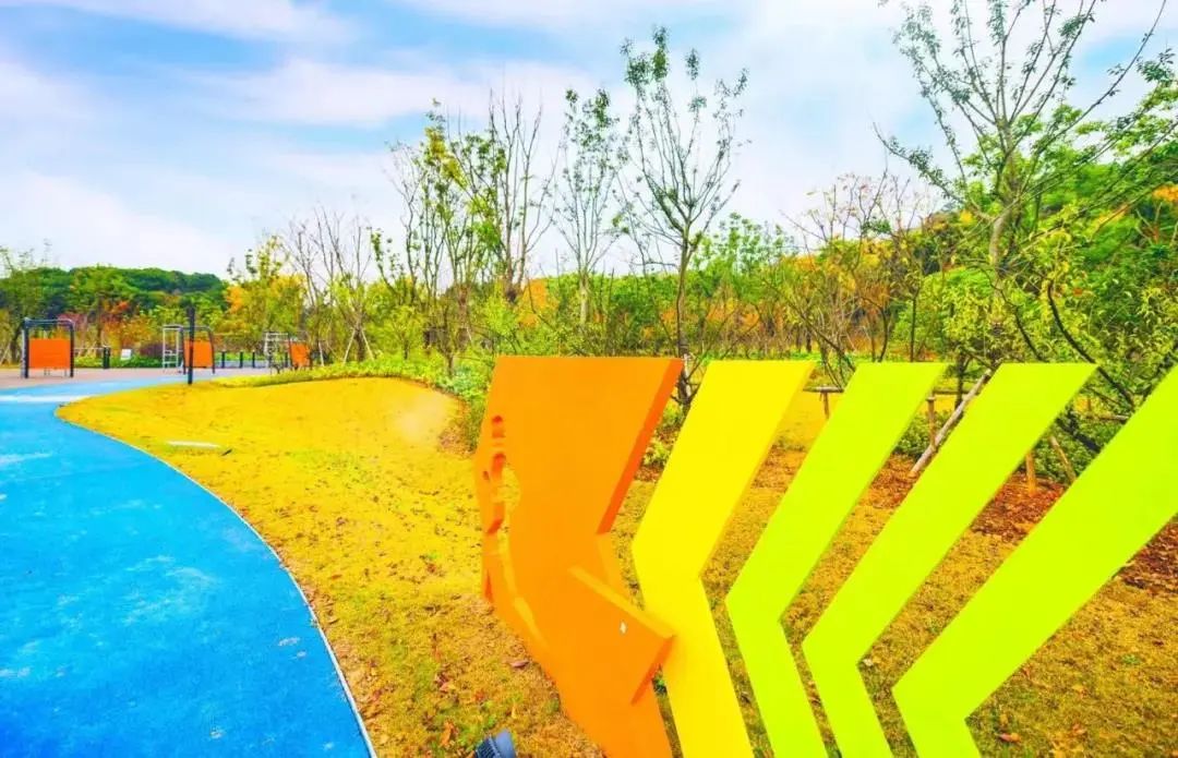 体育公园真人秀,网红体育公园