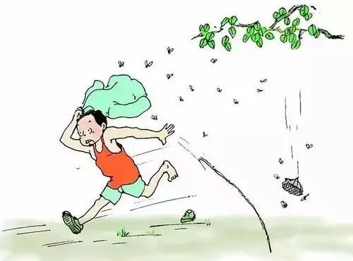 炎症的自述：发生、机理和结局