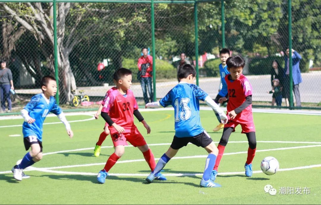 姹曞ご浜氶潚浼氭疆闃冲尯,缁胯尩鐩涘喌