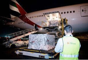 第二波疫情真的来了吗最新消息,第二波疫情来袭预计多少天