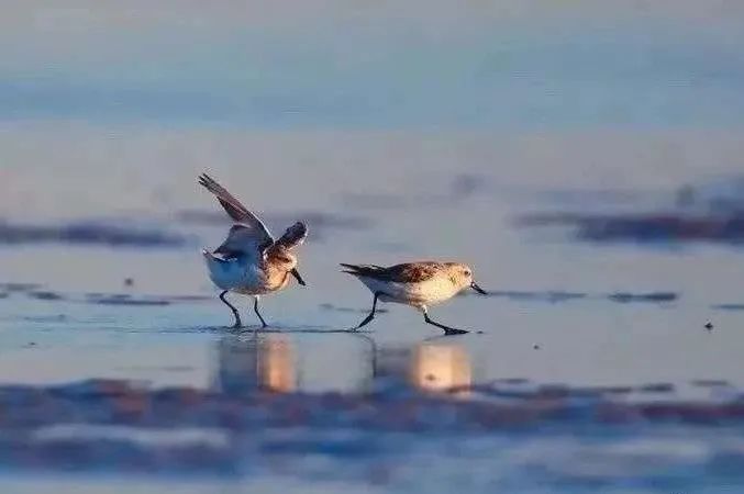 南通海岸线公园风景图,南通海滨风光带