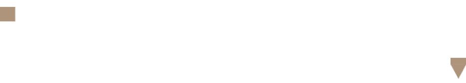 日式东洋风,东洋风