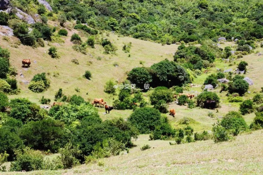 福州峡天下景区一日游攻略,福州一日游最佳景点是哪里