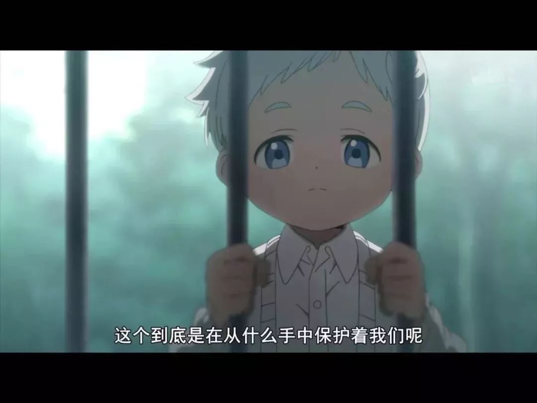 b站9.9豆瓣9.6,豆瓣9.0神片