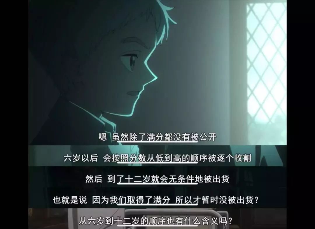 b站9.9豆瓣9.6,豆瓣9.0神片