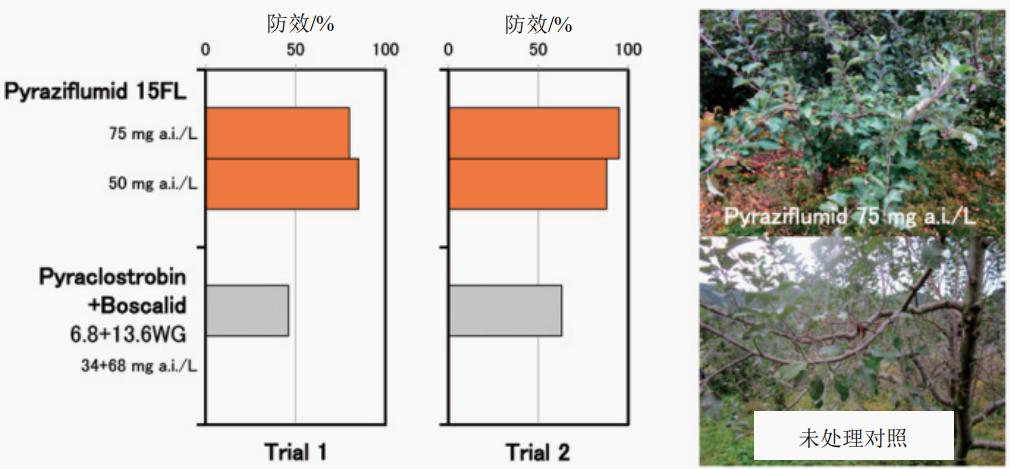 杀菌剂吡唑醚菌酯农药,吡唑醚菌酯农药杀菌剂