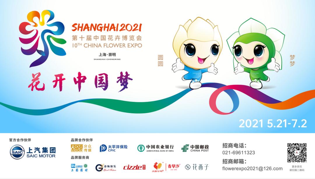 植物被冻了怎么救活,冻伤的植物还能活过来吗