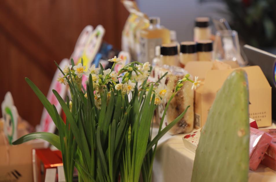 崇明跟金山,金山和崇明哪个潜力大