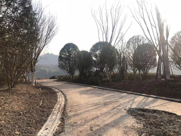 高家坝足球公园什么时候完工,高家坝足球公园足球场对外开放吗