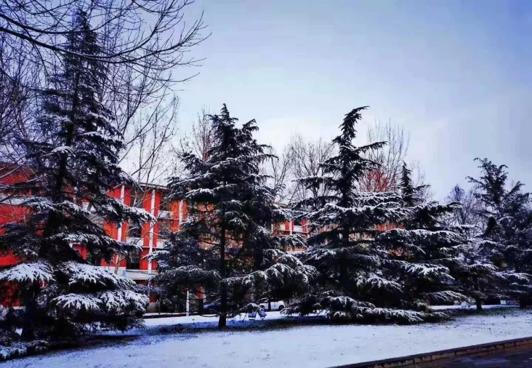 omg超实用的寒假指南请查收,天大学子