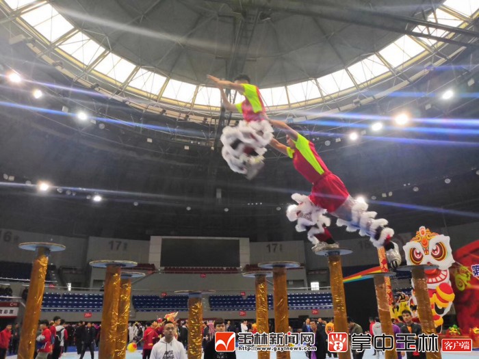 陈玉河：推广舞狮运动传承醒狮文化