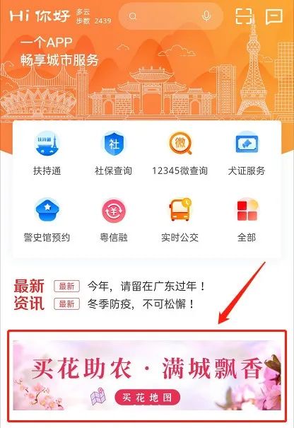 佛山今年哪里有花市,佛山市内哪里有年花批发