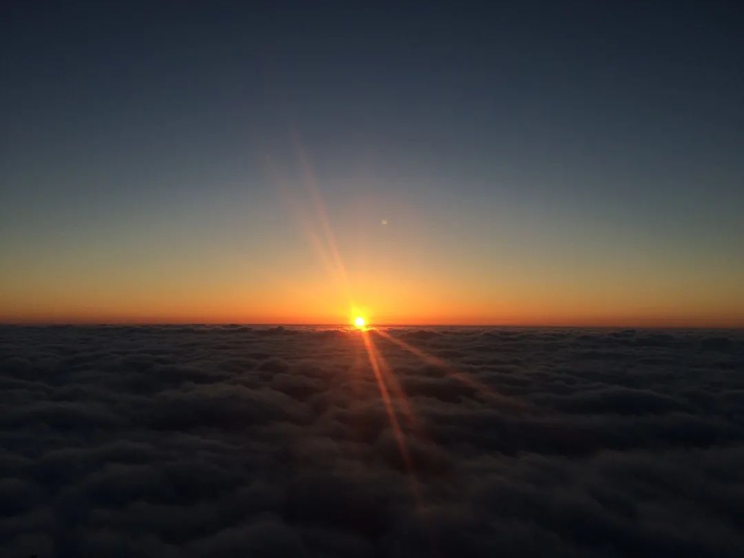 比亚迪腾势x,比亚迪纯牛图片