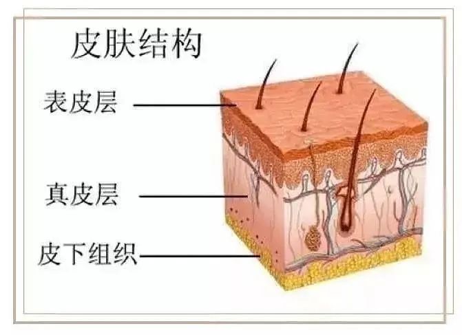 没有指纹的人,没有指纹的人能找到吗