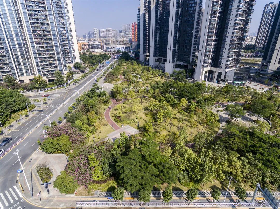 [春节留深]龙华游园攻略之民治街道篇