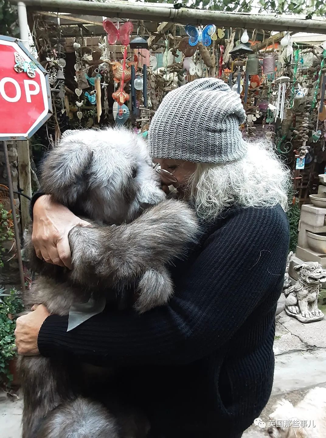 泰迪熊治愈,治愈泰迪熊