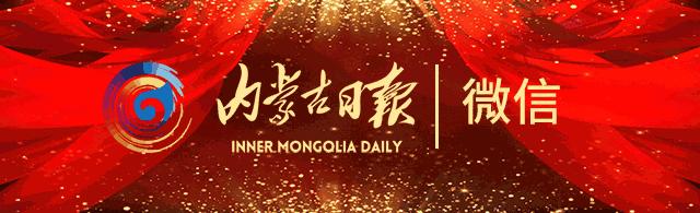 蒙古经济发展规划,内蒙古自治区发展报告