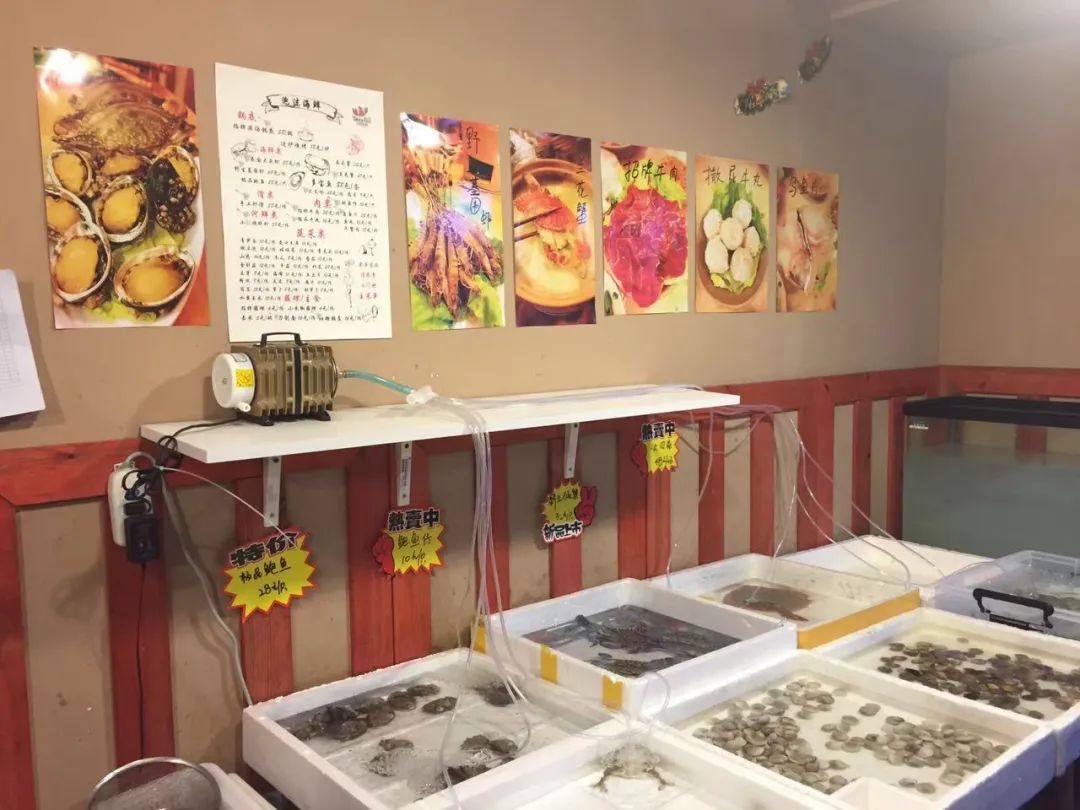 让成都的花胶鲍鱼鸡一姐，给你们讲哈小红袍的故事