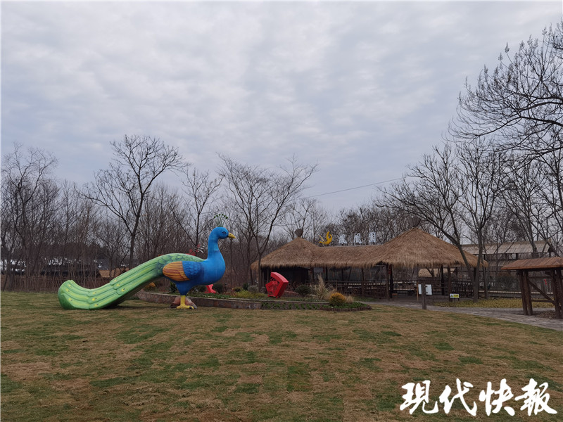 “凤凰”再“起飞”,扬州这处“生态绿肺”改造完成