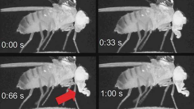 深度睡眠能改善身体什么问题,深度睡眠解决大脑疲劳