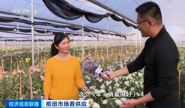 直击亚洲最大鲜切花市场：九成鲜花批发夜间拍卖，红玫瑰涨价50%，百合价格翻一倍