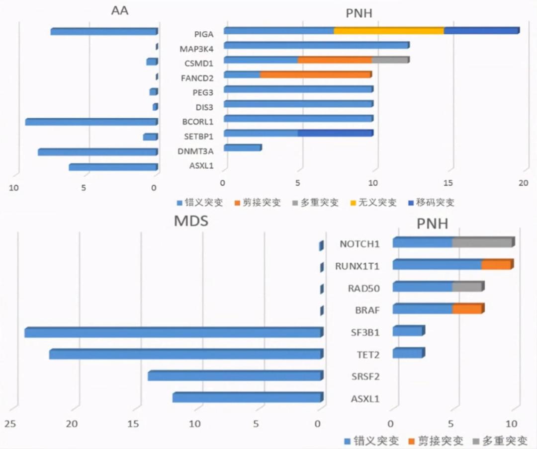 韩冰教授：PNH热点问题解析丨中国血液学发展大会