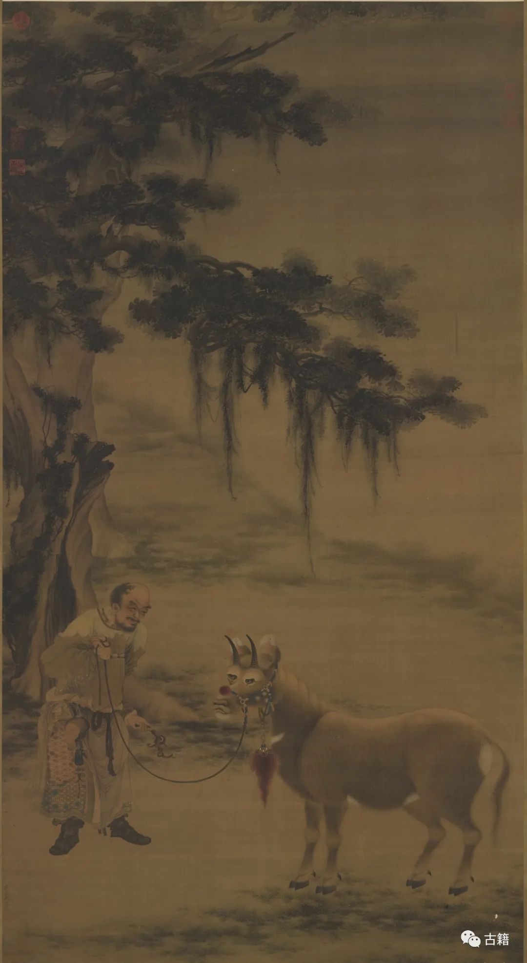 丑牛的闲话视频,闲话丑牛完整视频