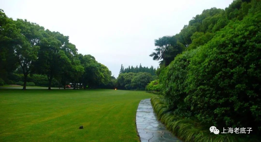 记忆虹桥,记忆虹桥路