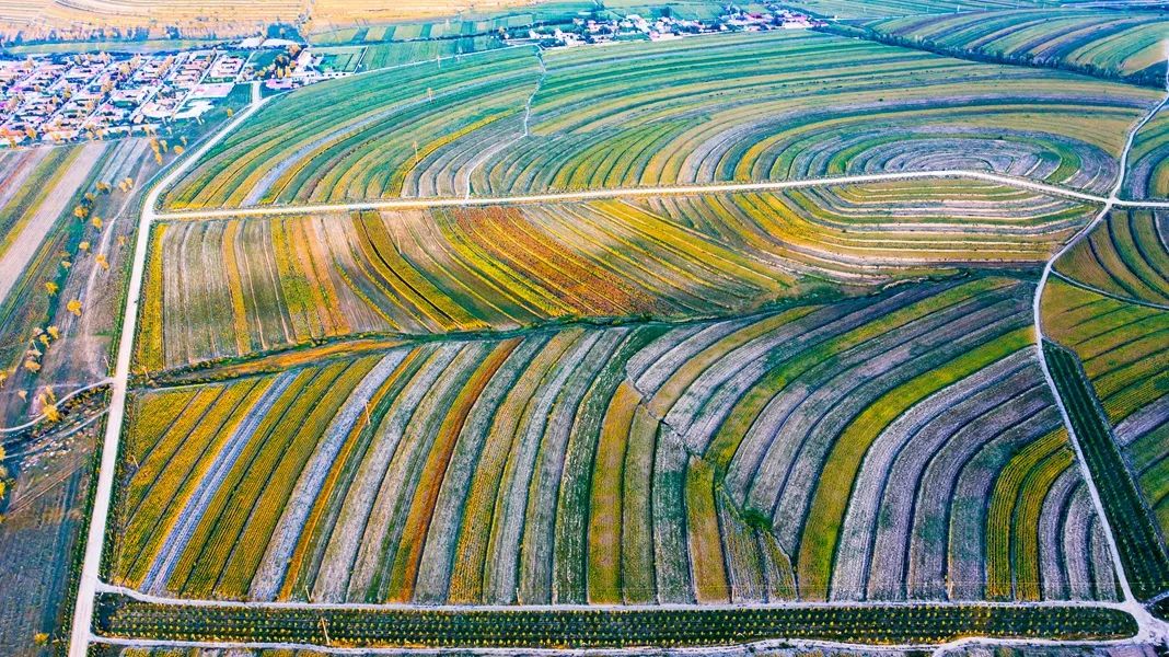 鍙や粖杈夋槧瀹屾暣瑙嗛,鍙や粖浜ょ浉杈夋槧