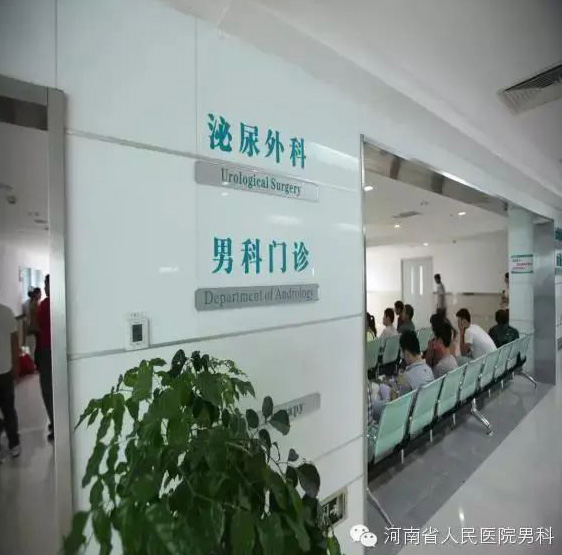 高飞河南商丘,高飞河南